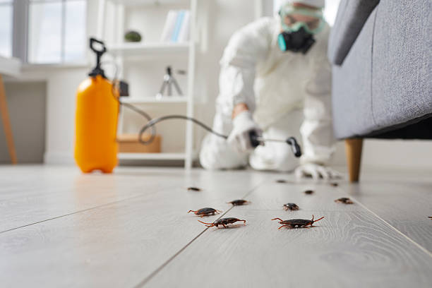 Commercial Rodent Management in Atlanta